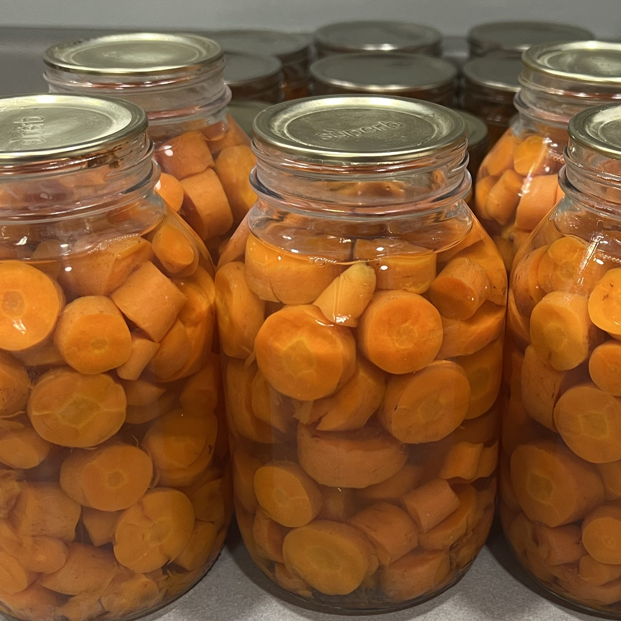 ZANAHORIAS – EN RODAJAS O EN CUBITOS