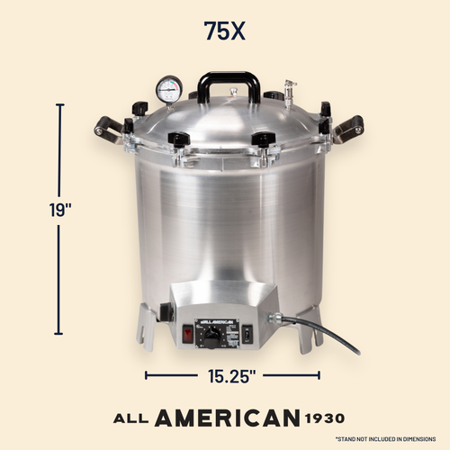 75X Electric Sterilizer