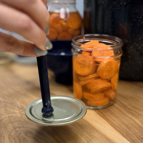 Canning Accessory Kit